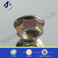 Aço Carbono Galvanizado Hex Flange Nut